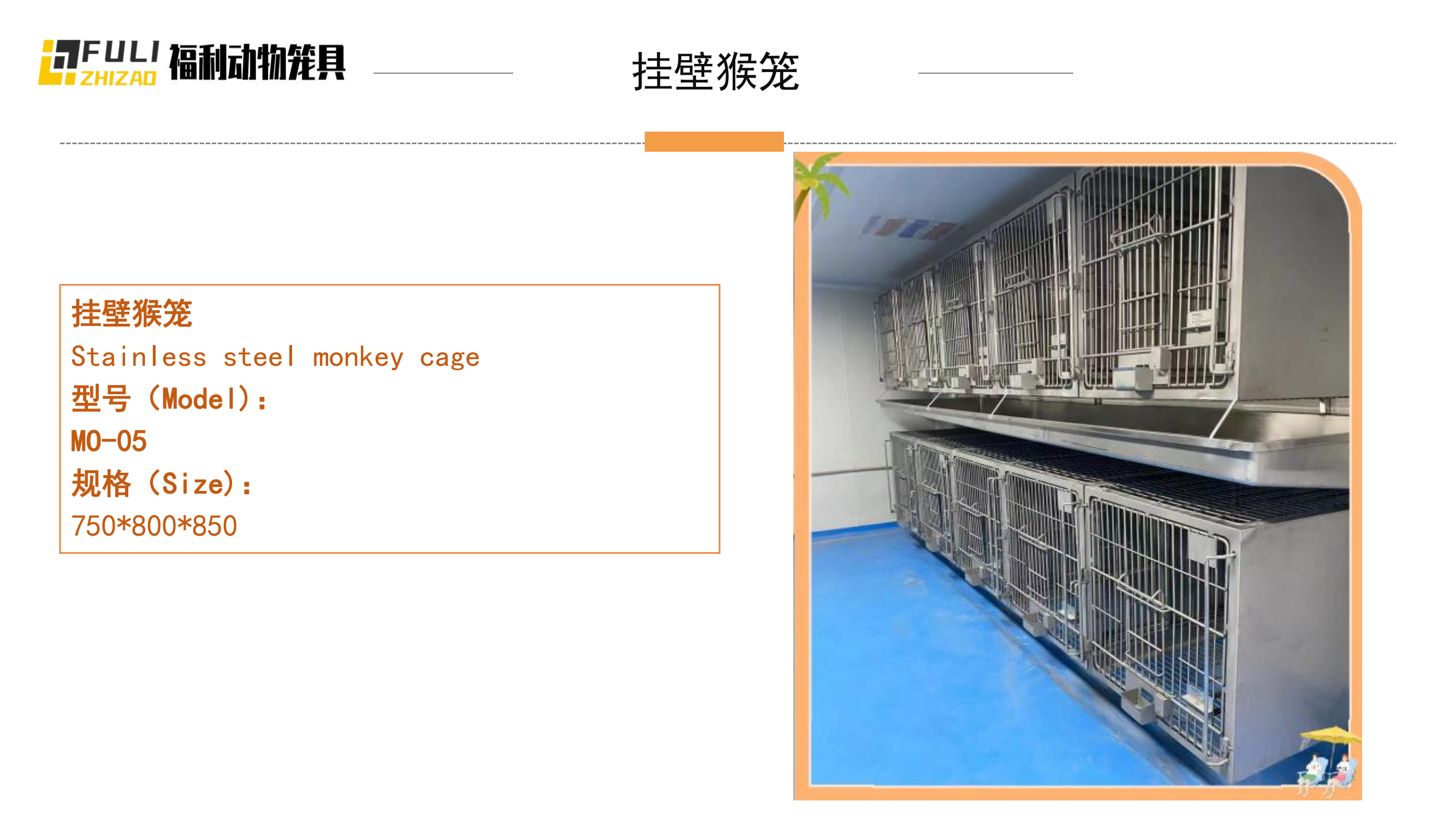 掛壁猴籠